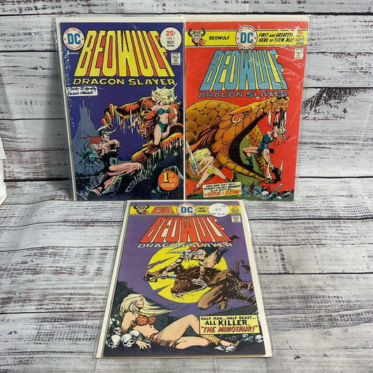 Lot Of 3 Vtg. Beowulf Dragon Slayer #1 3 6 Dc Fantasy Comics Ungraded