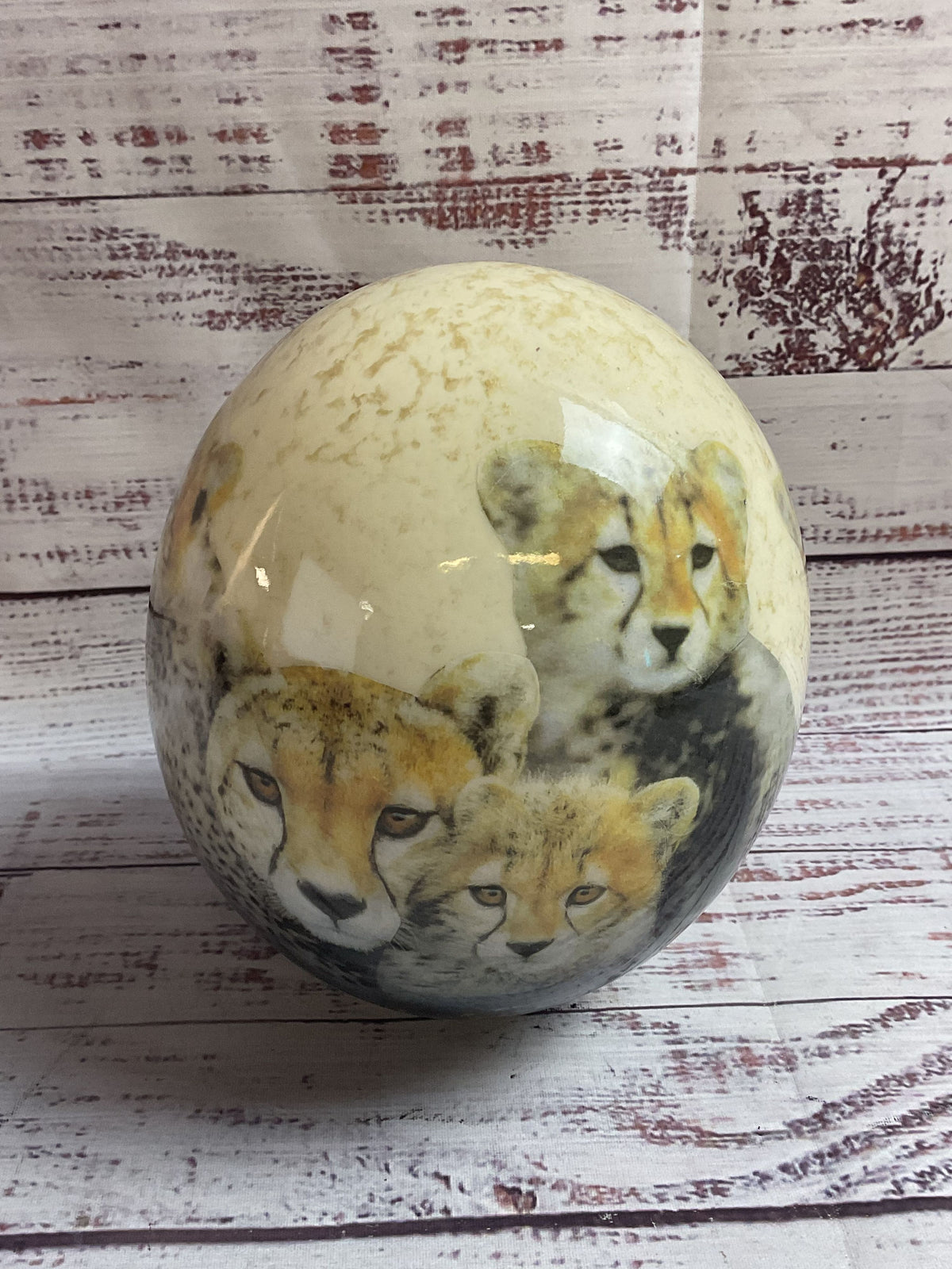 Ostrich Egg Cheetahs Hand Painted No Base 6.5"