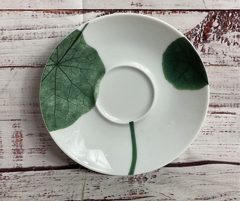 Contre Jour by Raynaud Limoges Floral Tea Cup Saucer Salad Plate White Green