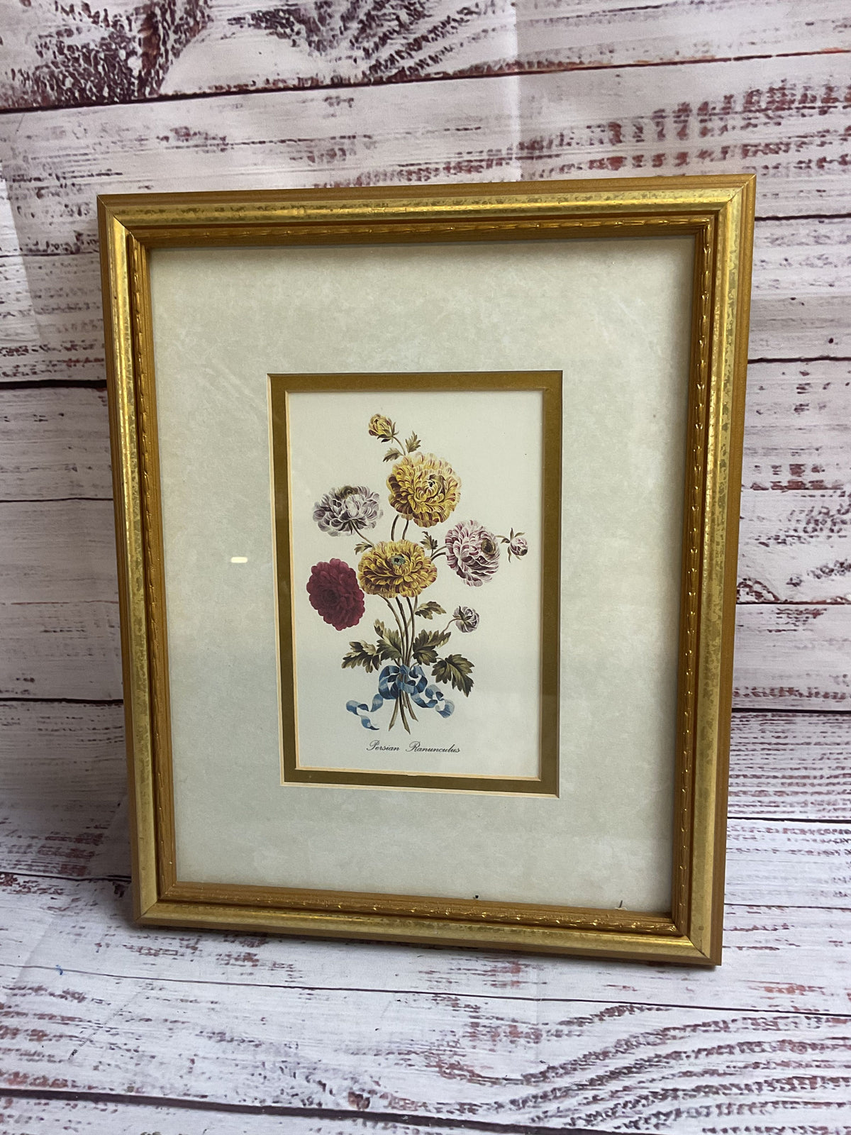 Persian Ranunculus Flower Art Print Golden Frame