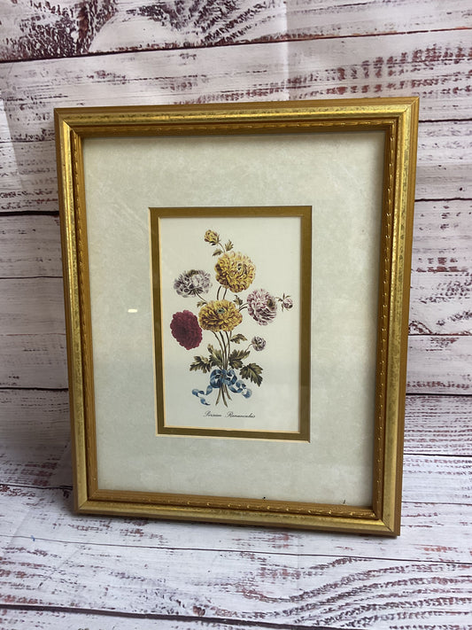 Persian Ranunculus Flower Art Print Golden Frame