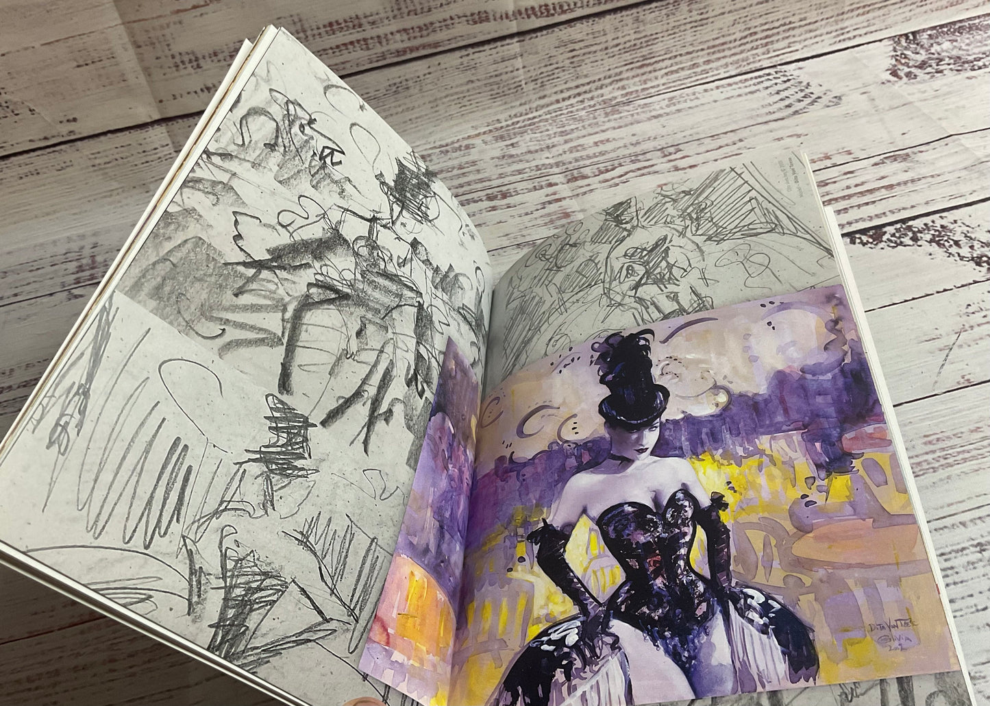 The Art Of Oliva Doodles Sketches Studies 1 Art Book Olivia Pinup