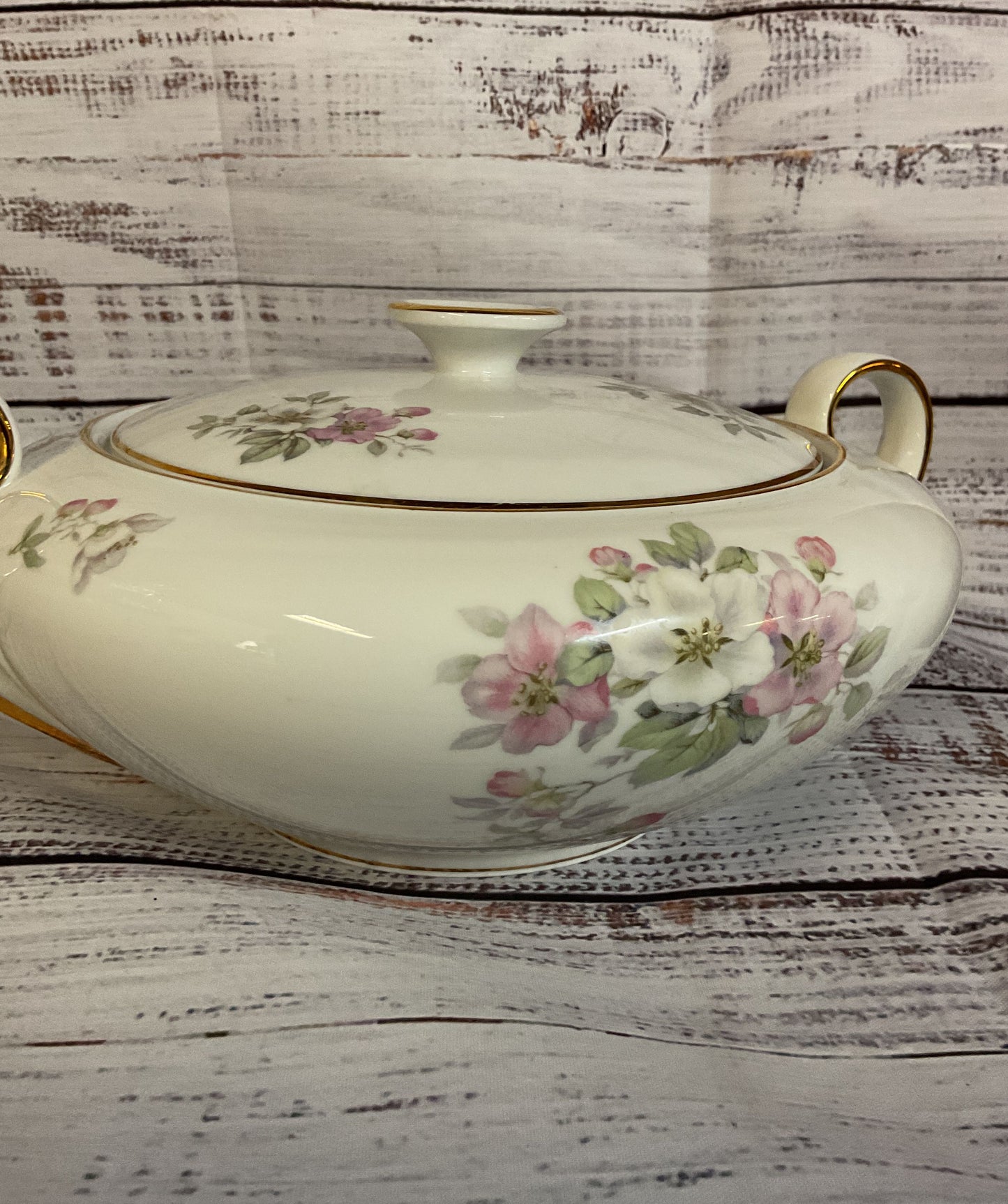 Vintage Tirschenreuth Bavaria Apple Blossom Porcelain Soup Tureen Germany