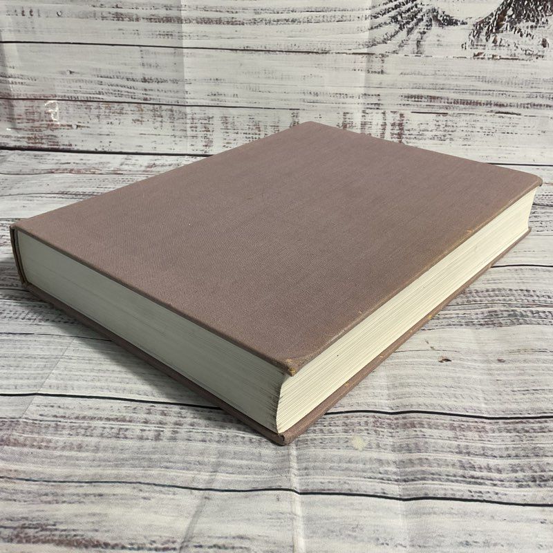 Hartt History Of The Italian Renaissance Third Edition Hardcover Book
