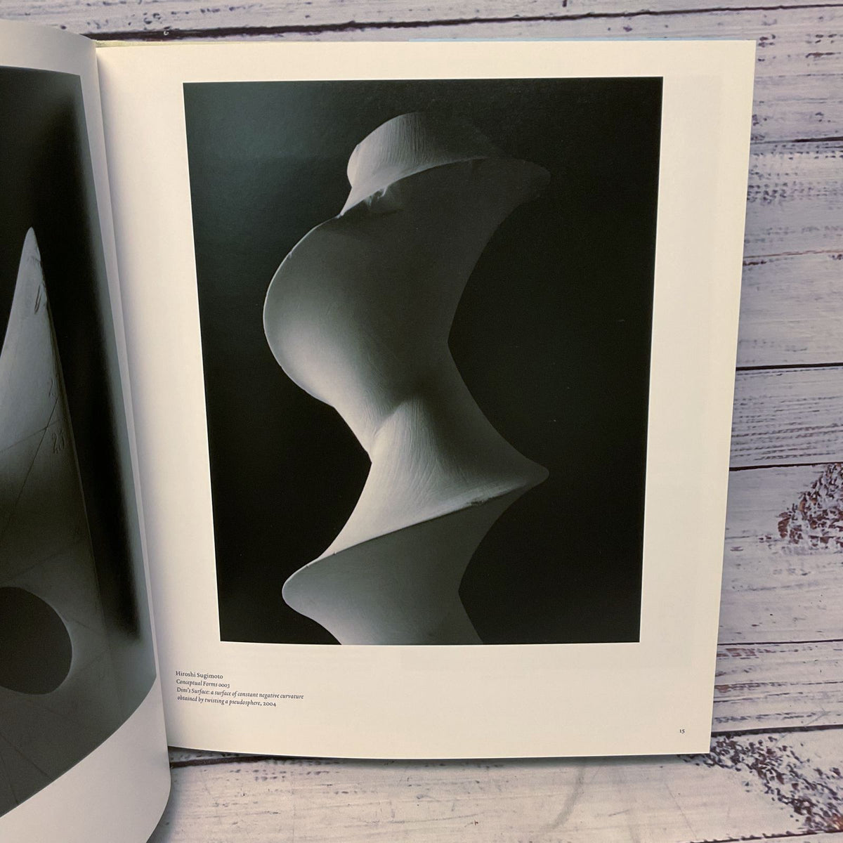 Perfect Likeness Russel Ferguson Photography & Composition Hardcover Book