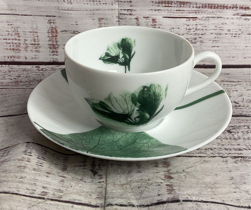 Contre Jour by Raynaud Limoges Floral Tea Cup Saucer Salad Plate White Green