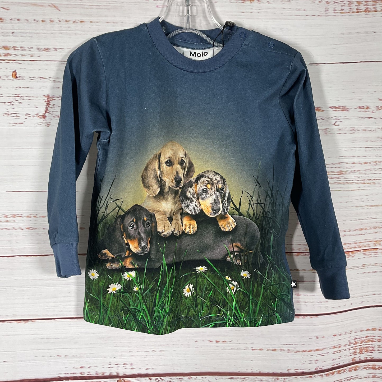 Molo Blue Weiner Dog Print Snap Button Closure Shoulder Baby Shirt - Size 2Y New