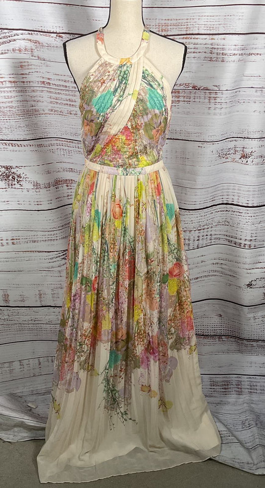 Ted Baker Wispy Meadow Pleated Maxi Dress Multicolor 2