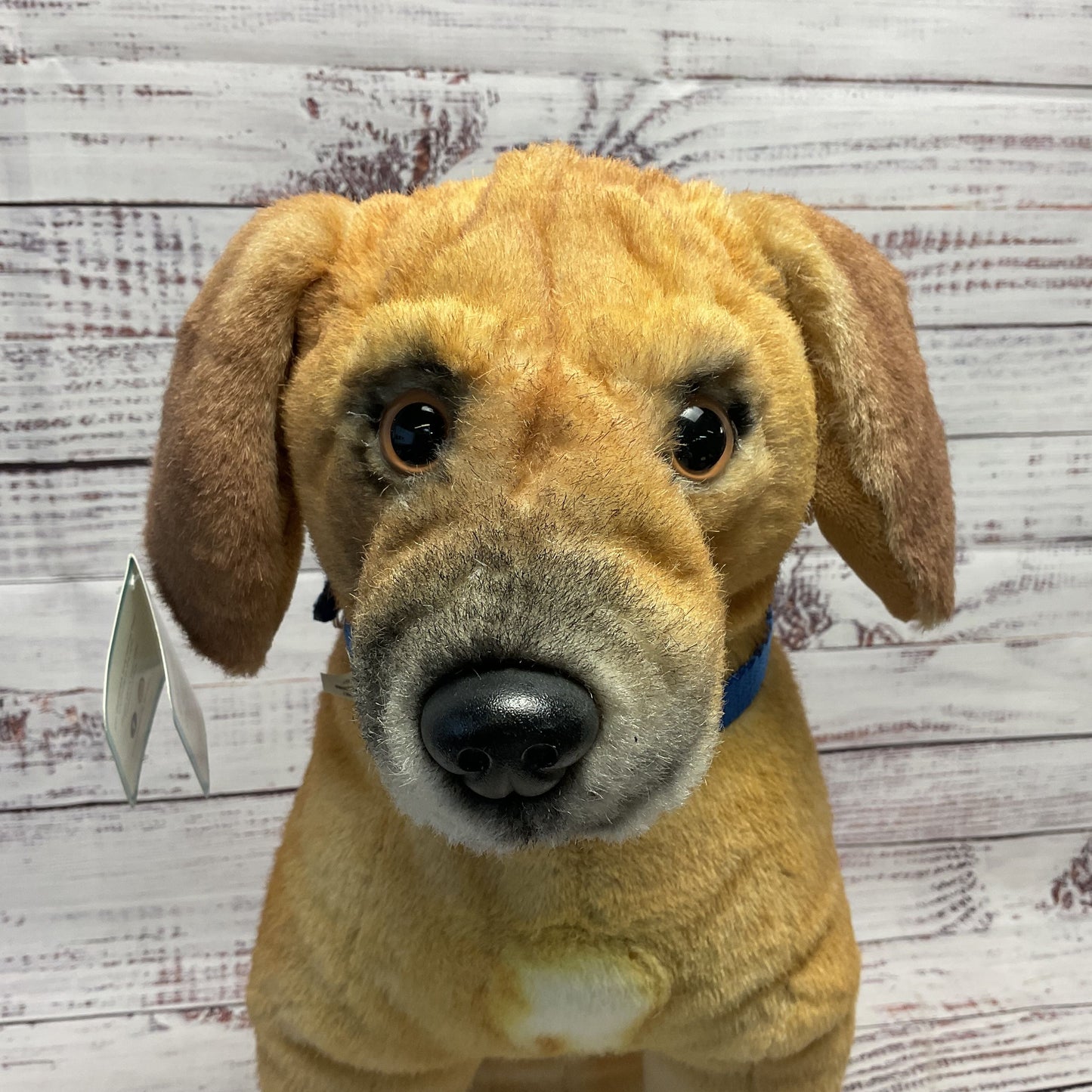 Petsies Custom Dog Stuffed Animal 15" Blue Dog Collar