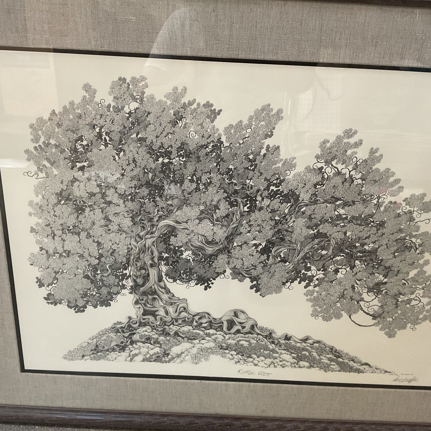 Ripple Root Framed Print Signed by Dave Badger