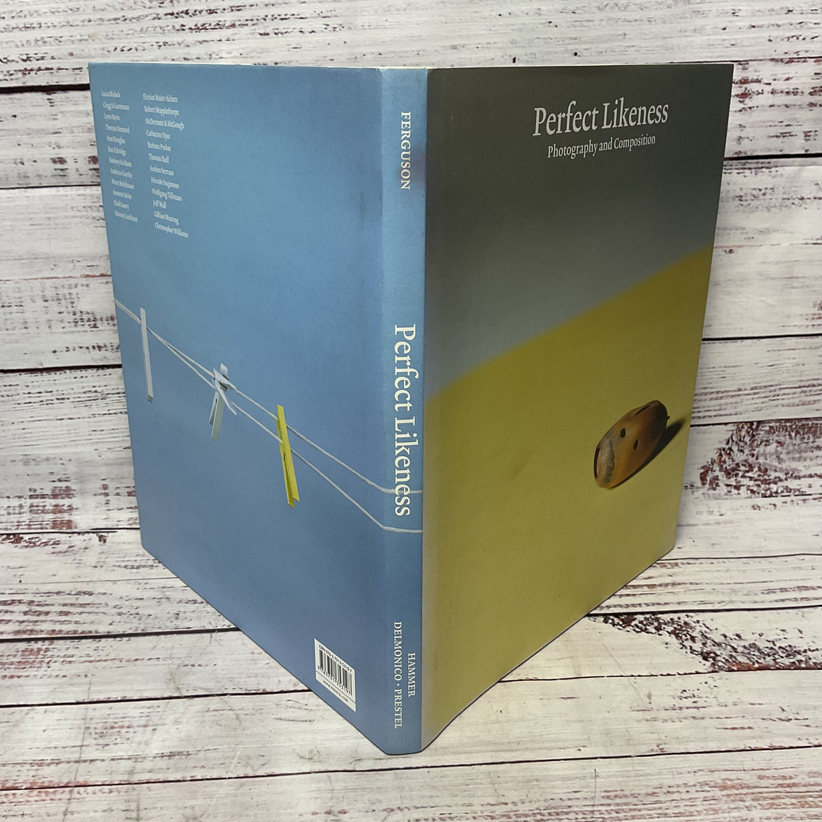 Perfect Likeness Russel Ferguson Photography & Composition Hardcover Book
