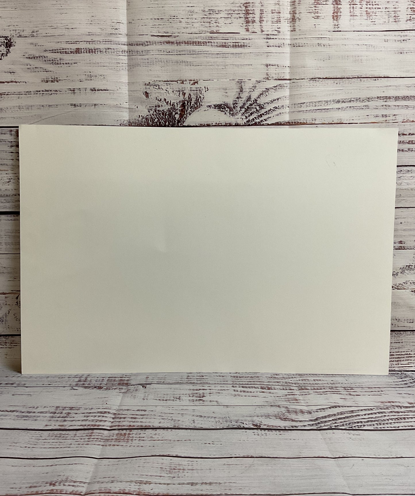 Disney's Star Wars "Rey" Print SIGNED by Christopher Clark