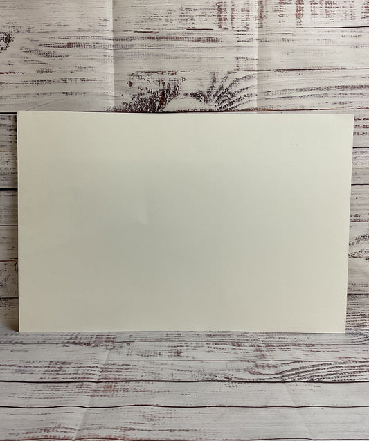 Disney's Star Wars "Rey" Print SIGNED by Christopher Clark