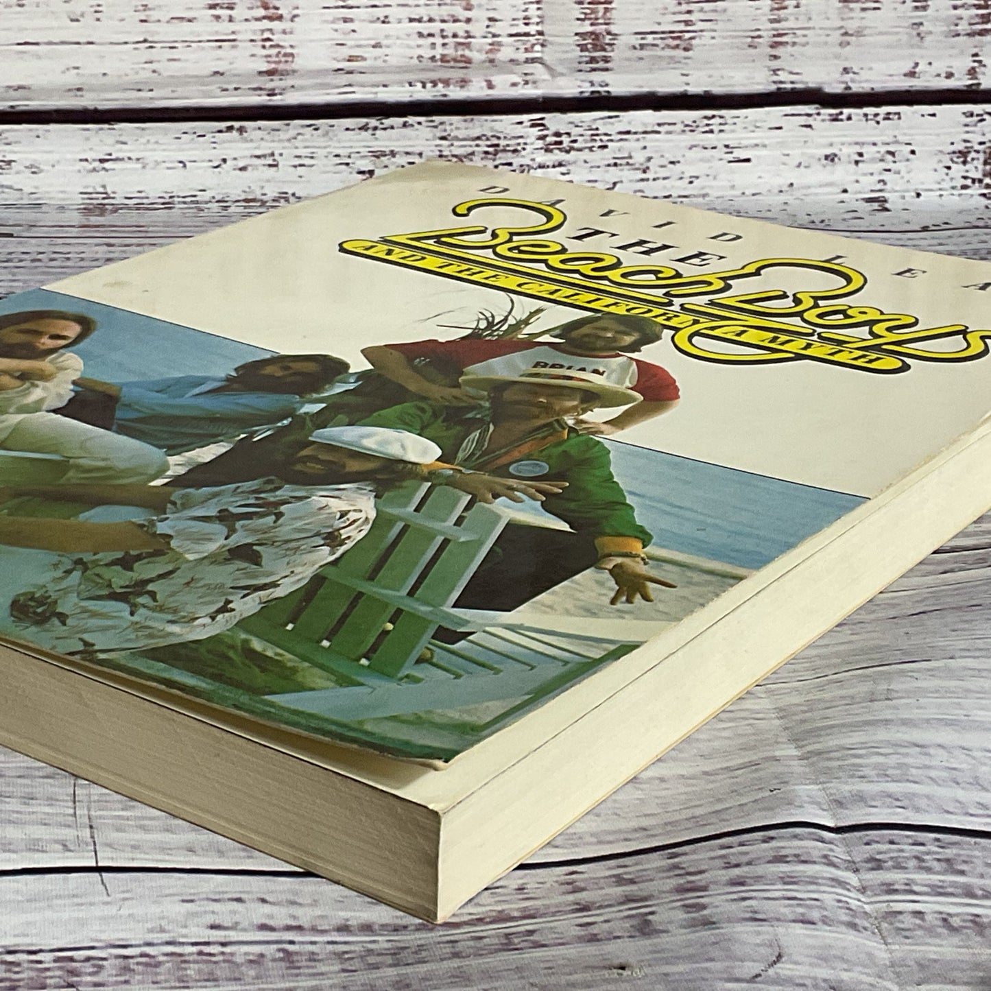 1978 The Beach Boys and the California Myth by David Leaf (2 of 2)