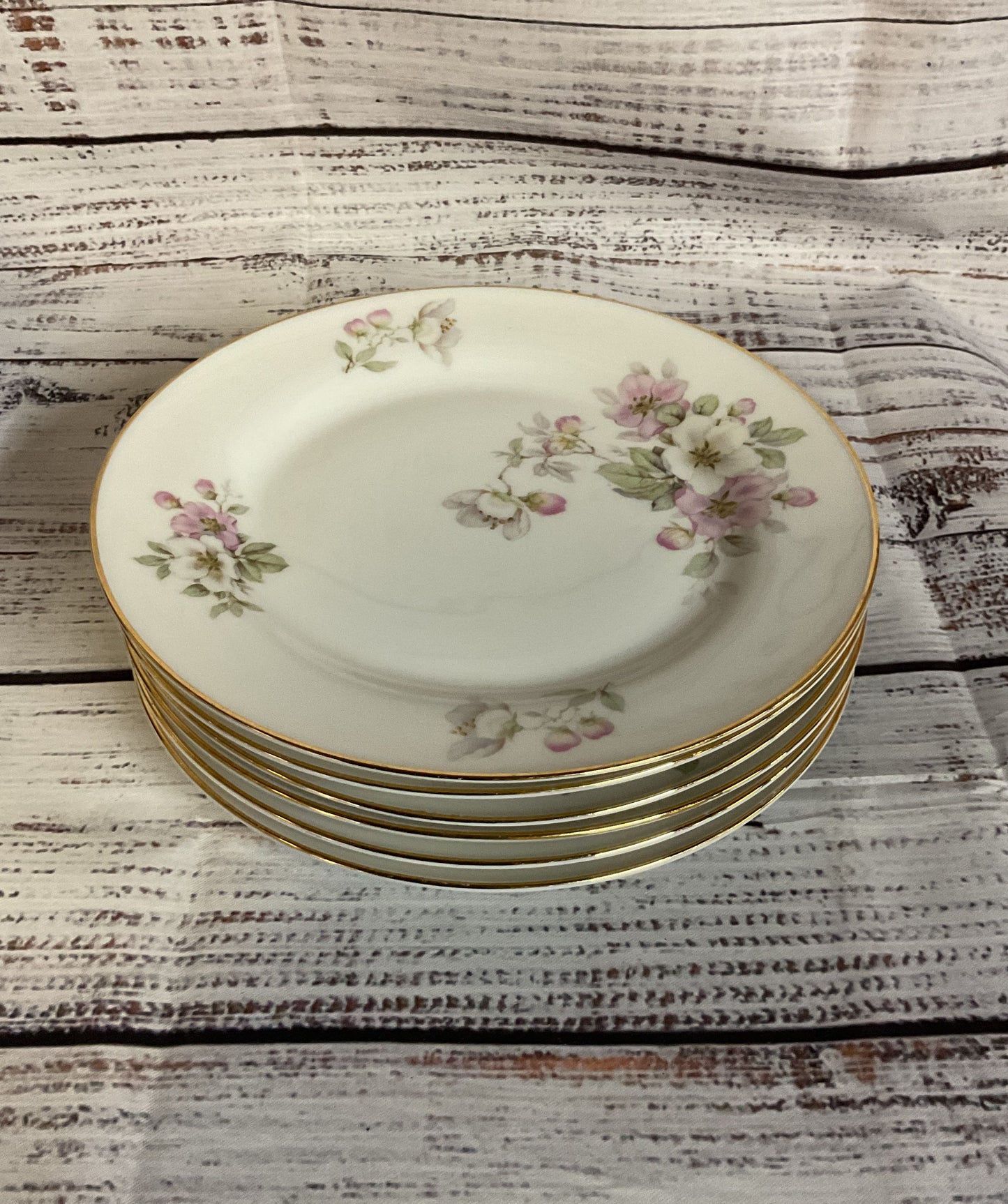 Tirschenreuth Bavaria Germany White Porcelain 6 Salad Plates 7.5"