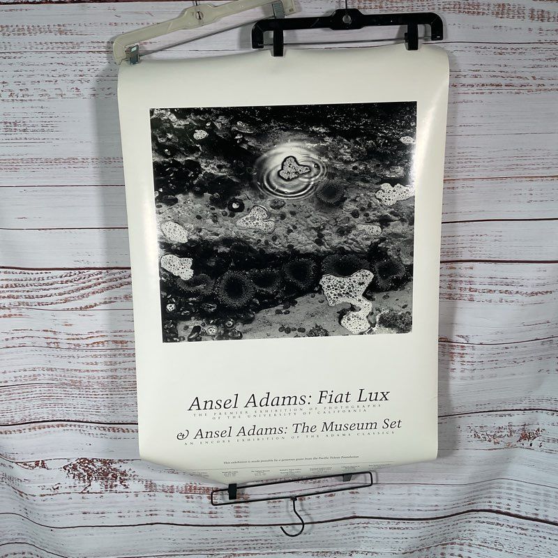 VTG. 90s Ansel Adams Tide Pool (1966) Fiat Lux Museum Set 56" Poster