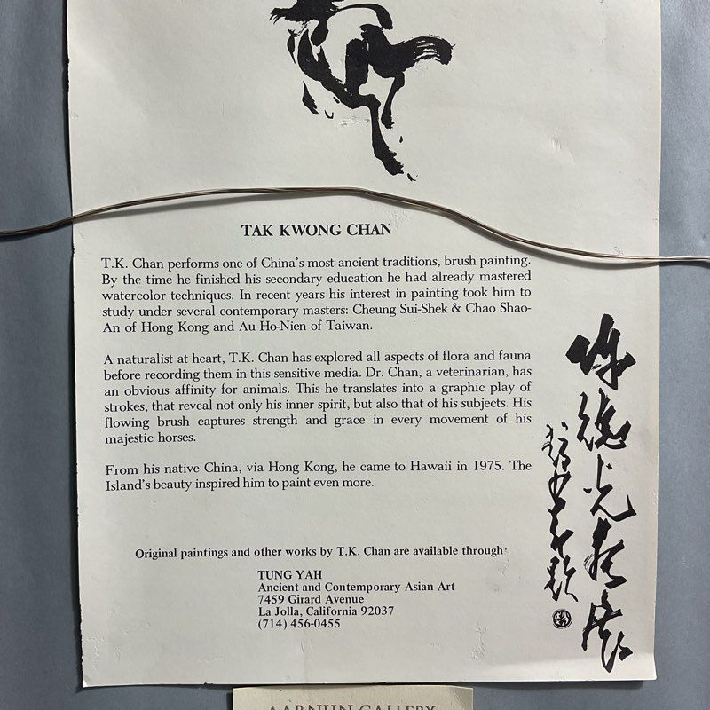 Horse Running From Herd Print by Tak Kwong TK Chan Framed 12"