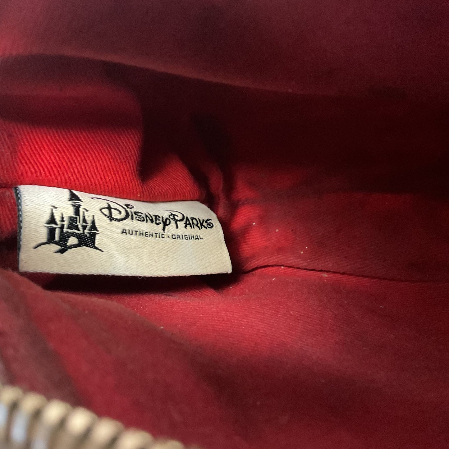 Dooney Bourke X Disney Parks Clutch Cosmetics Case Bag 6x2x4