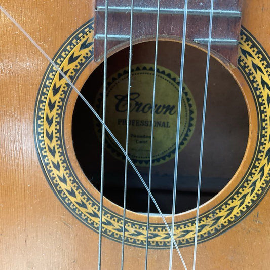 Crown Professional CA Acoustic Guitar Natural Finish Dreadnought Style