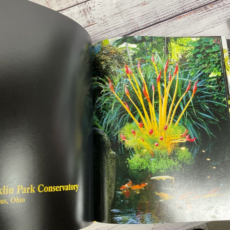 CHIHULY Garden Installations by Dale Chihuly HC Glass Art Designs