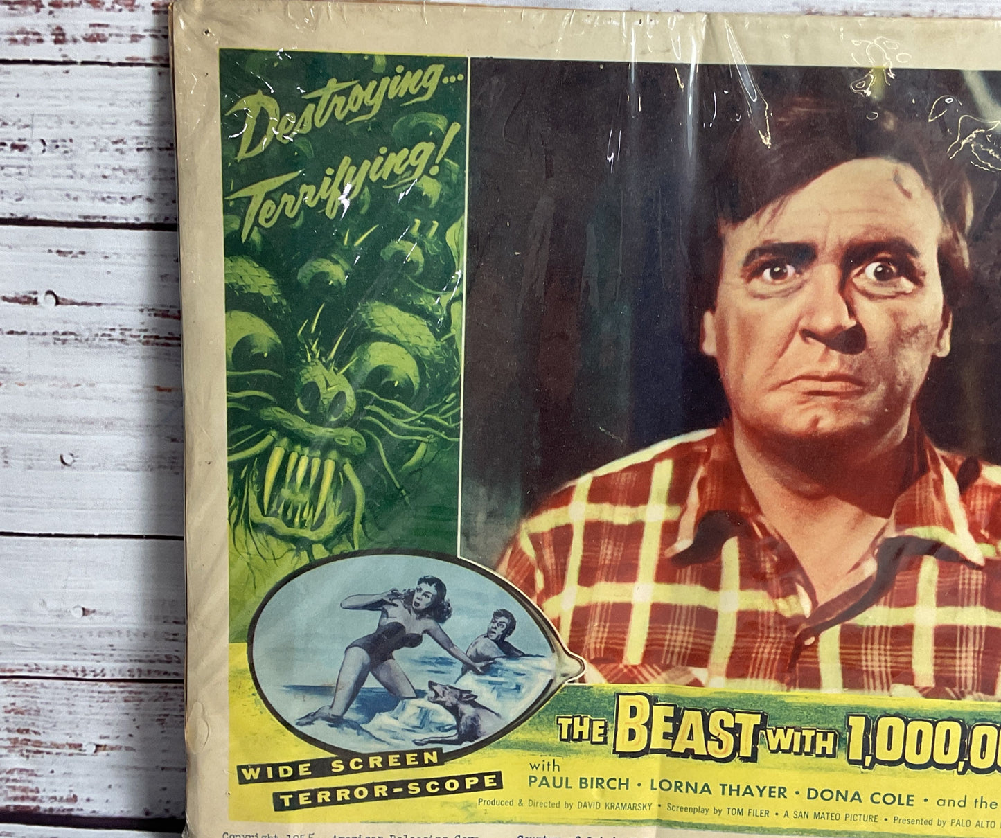 Vintage Beast With 1,000,000 Eyes Paul Birch Lorna Thayer Original Movie Poster