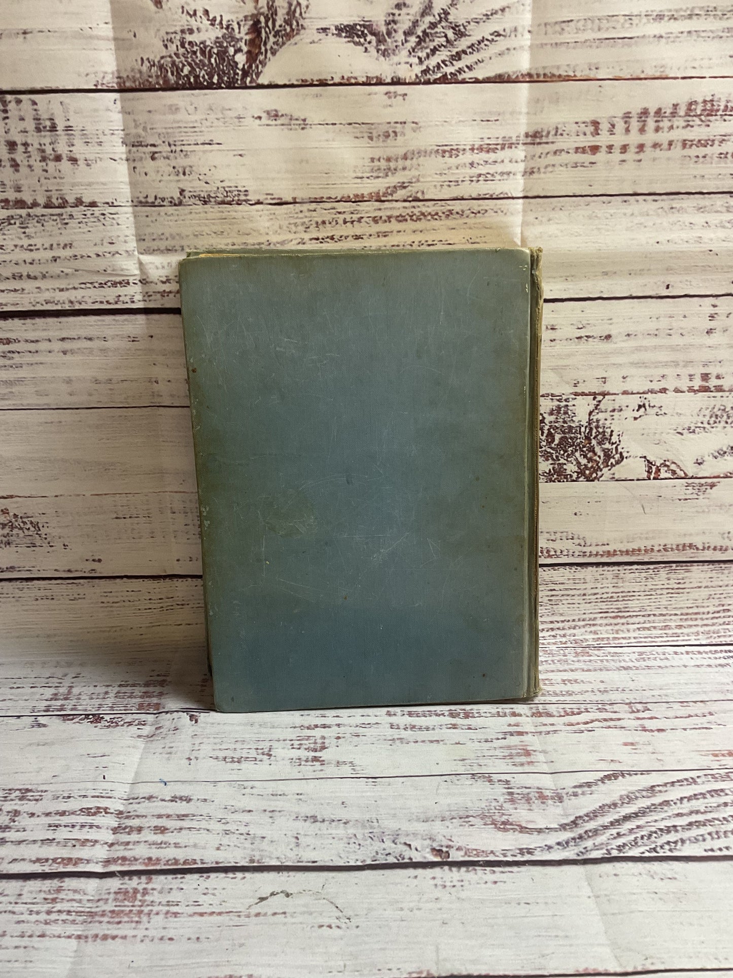 Silver Princess In Oz By Ruth Plumly Thompson 1938 Hardcover