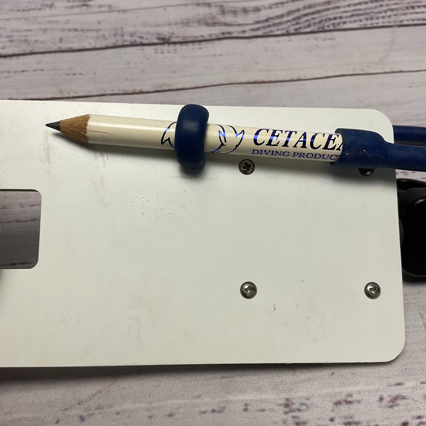 Cetacea White Scuba Compass and Pencil Retractable Lanyard