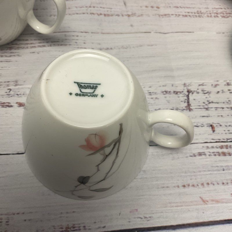 Thomas Germany Quince White Ceramic Tea Cup Saucer Creamer Sugar Bowl 26Pcs