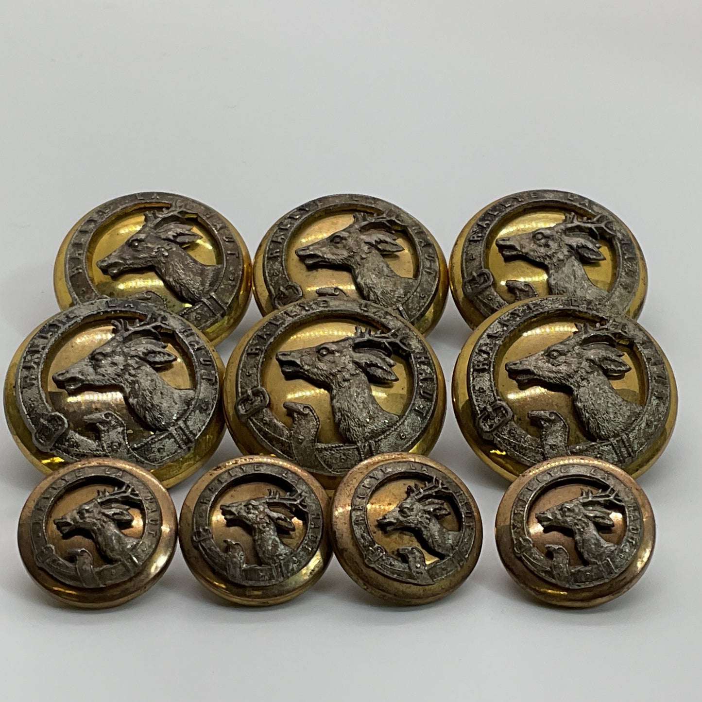 ANTIQUE SUPERIEUR France Rallye LA Haut Two Tone Deer Motif Buttons- Set of 10
