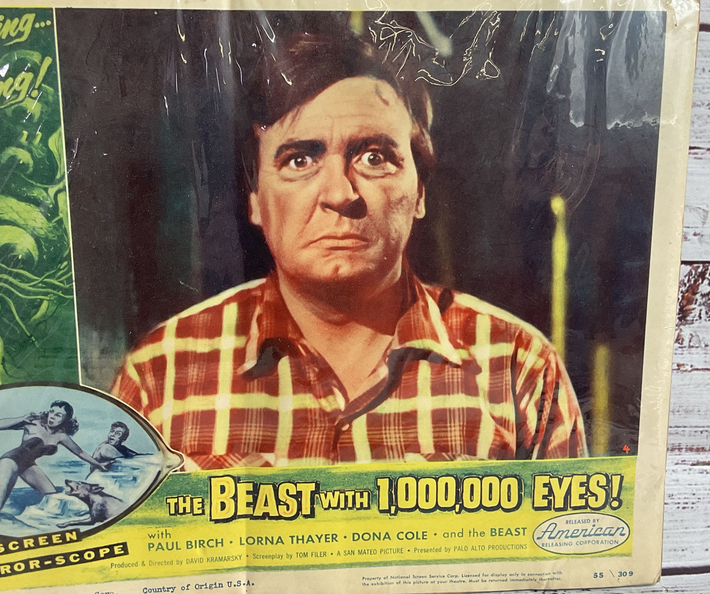 Vintage Beast With 1,000,000 Eyes Paul Birch Lorna Thayer Original Movie Poster