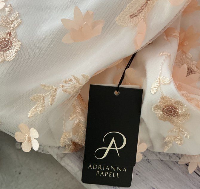 NWT Adrianna Papell Ivory & Blush Floral Embroidery Dress Size 4 Retail $179