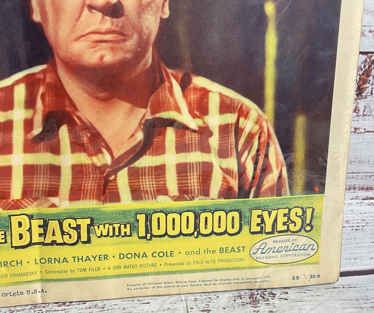 Vintage Beast With 1,000,000 Eyes Paul Birch Lorna Thayer Original Movie Poster