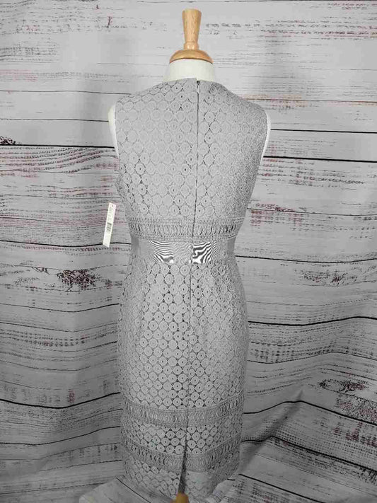NWT Women's Antonio Melani Gray Celia Dress Size 10 Retail $169