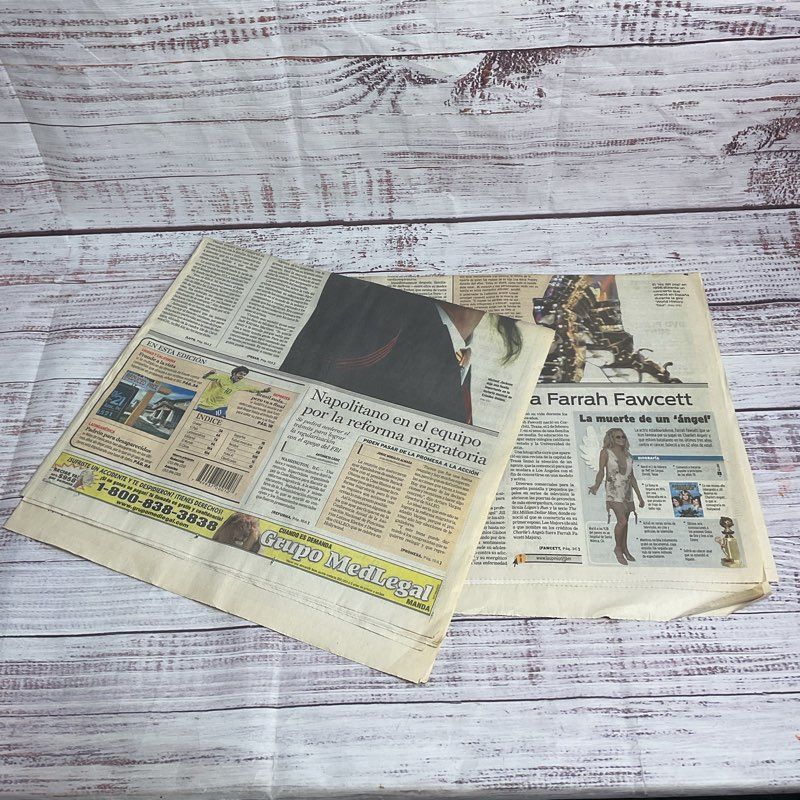 Michael Jackson Death Spanish Newspapers La Opinion/HolaLA June 26, 2009 Bundle