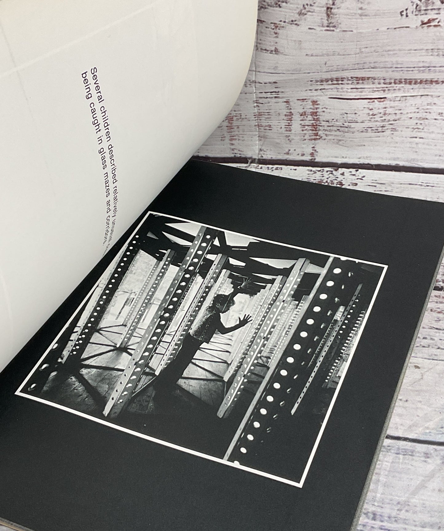 The Dream Collector Arthur Tress John Minahan