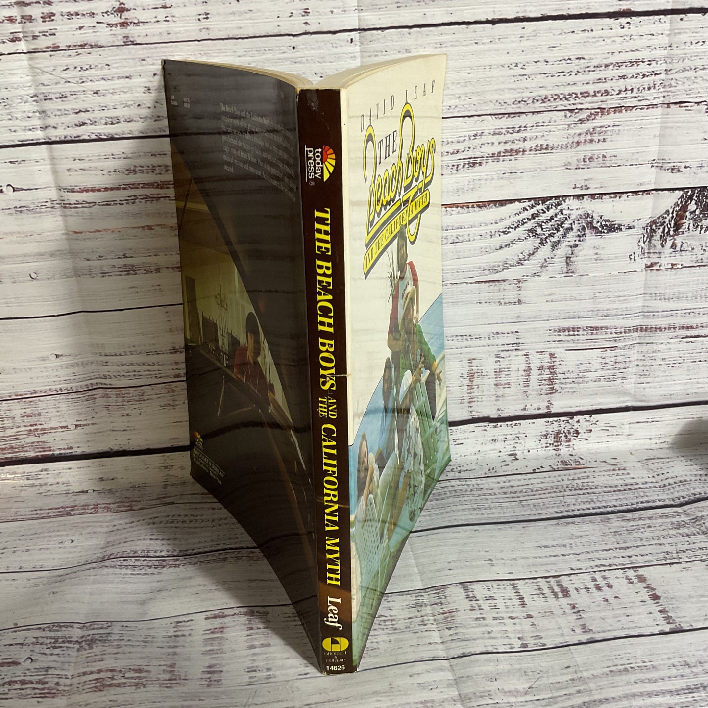 1978 The Beach Boys and the California Myth by David Leaf (2 of 2)