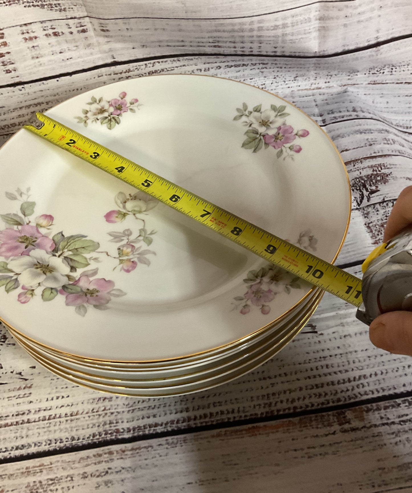 Tirschenreuth Bavaria Germany Apple Blossom White Porcelain 6 Dinner Plates