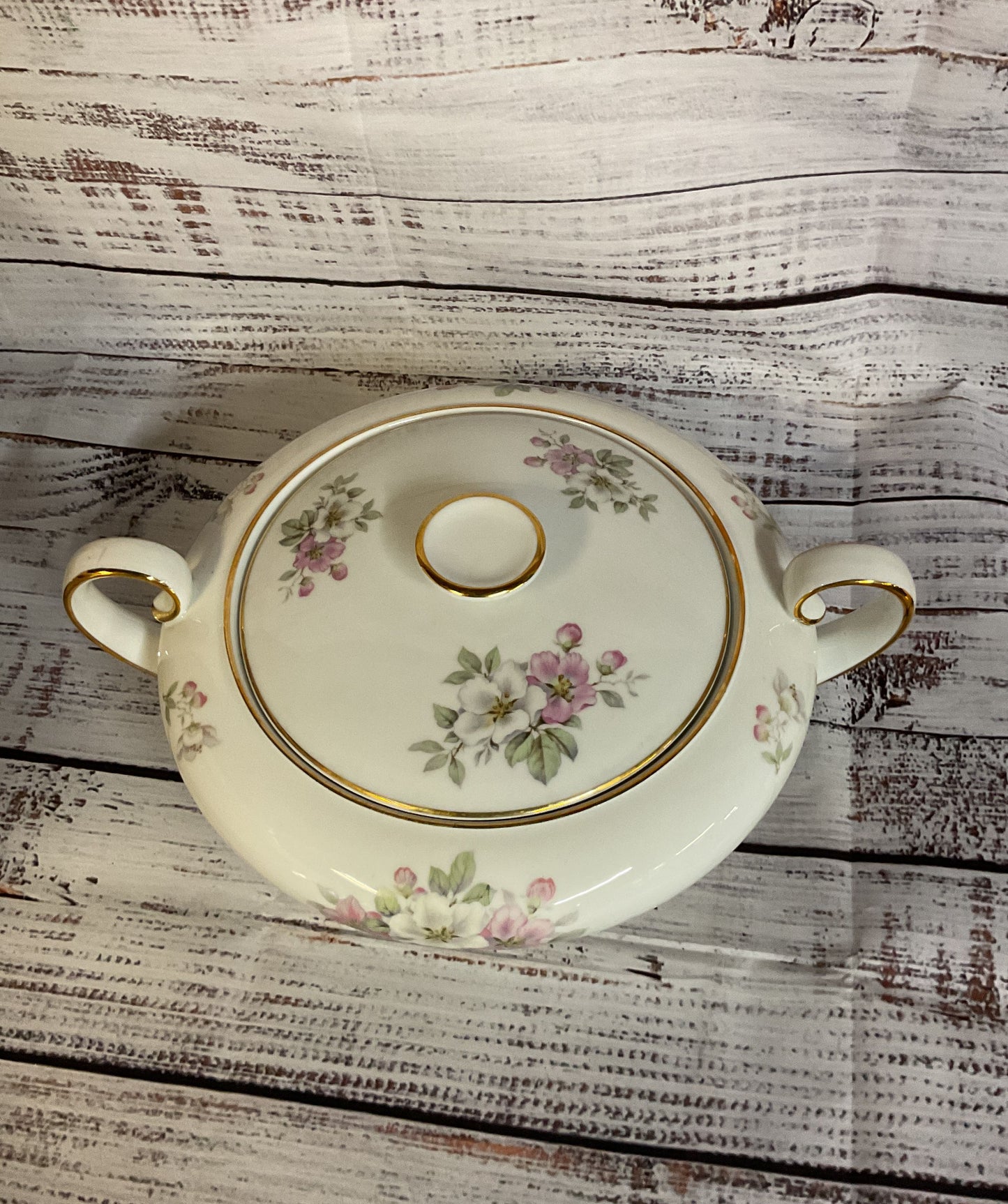 Vintage Tirschenreuth Bavaria Apple Blossom Porcelain Soup Tureen Germany