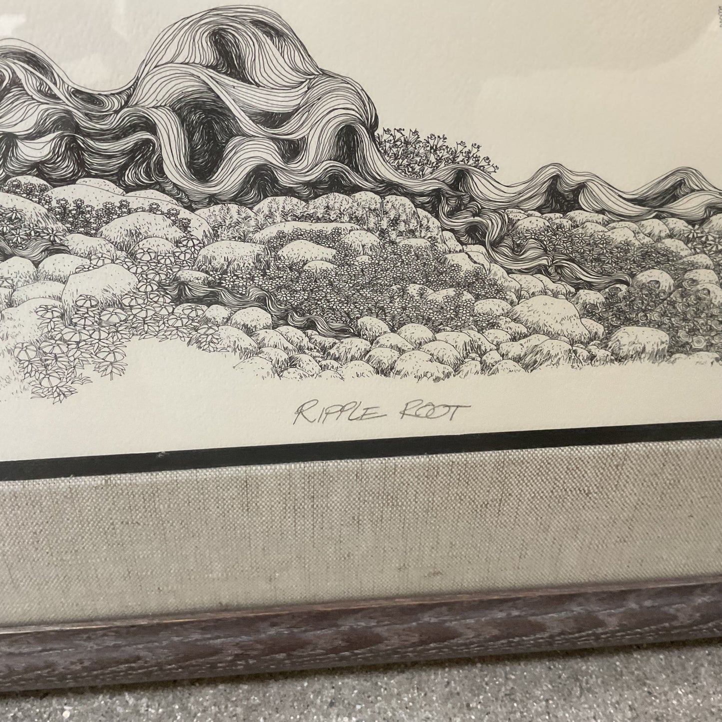Ripple Root Framed Print Signed by Dave Badger
