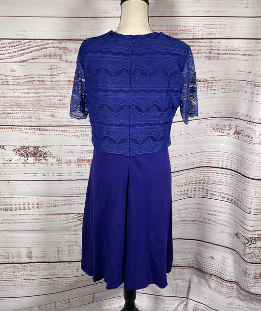 Escada Ebekka Lace Top Midi Dress Bluebell 40
