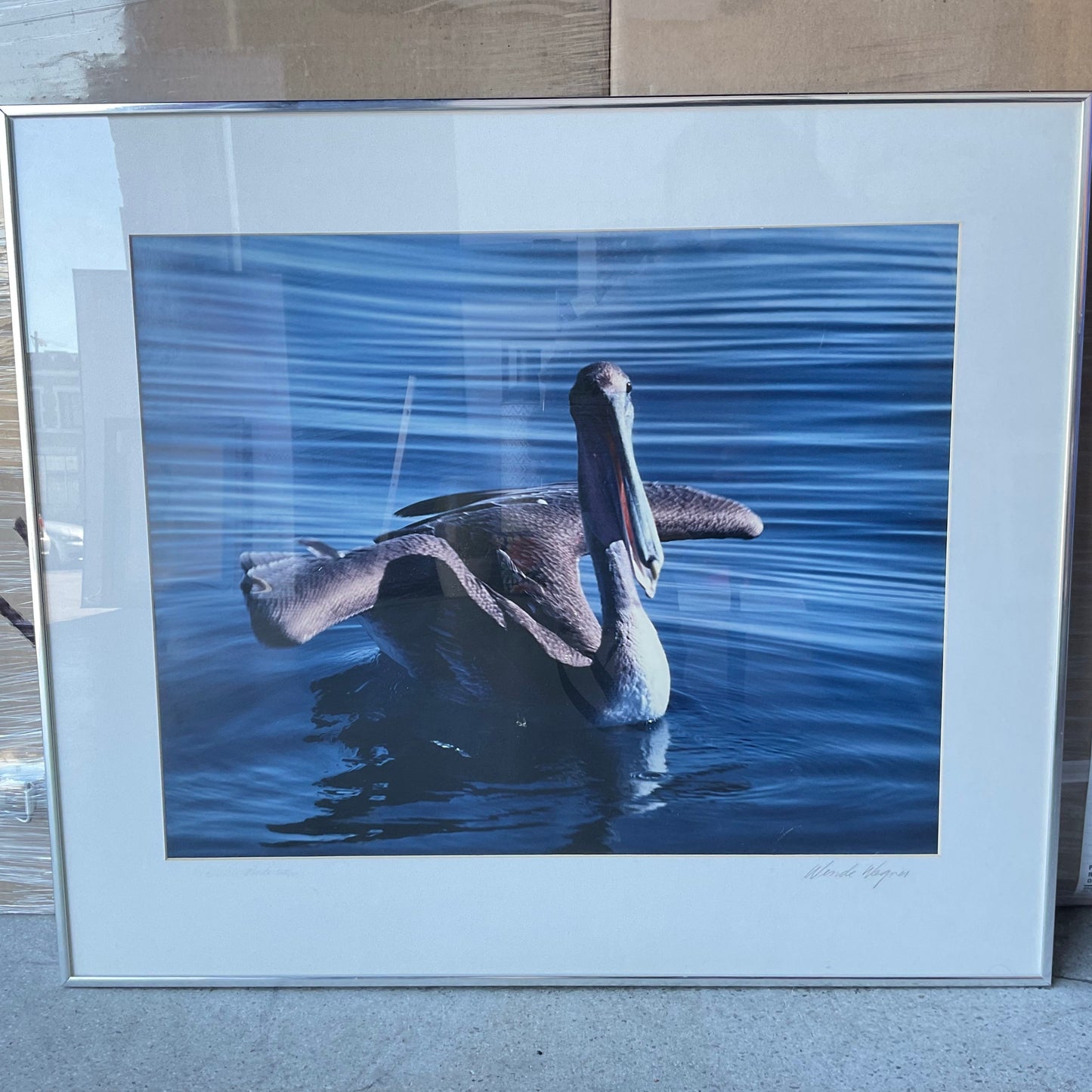 Malibu Pelican Photograph by Wende Wagner Signed Framed and Matted