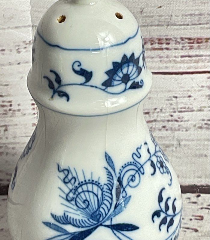 Blue Danube Blue Onion Porcelain Salt & Pepper Shakers Multicolor