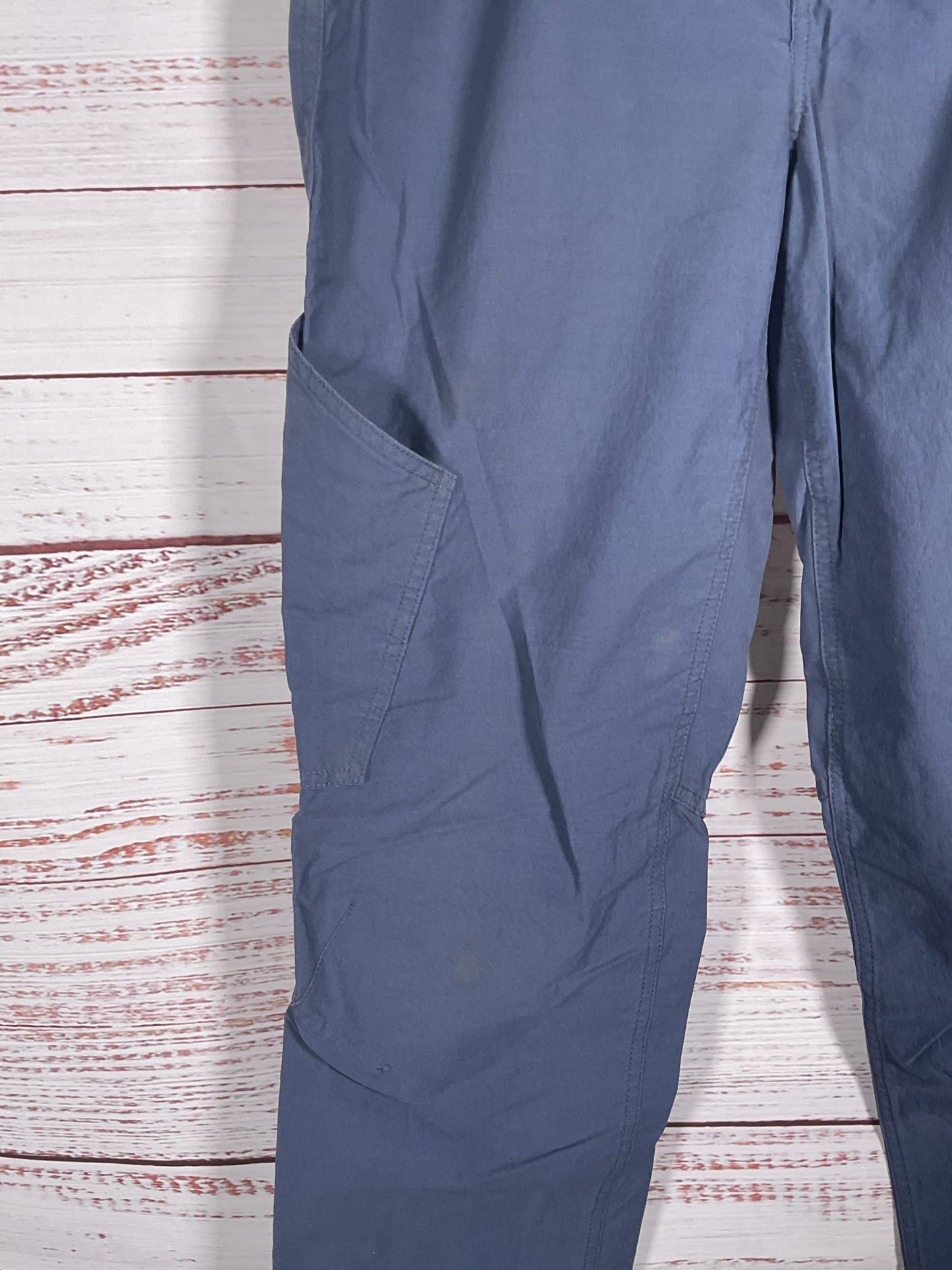Patagonia Blue Hiking Pants - Size 10