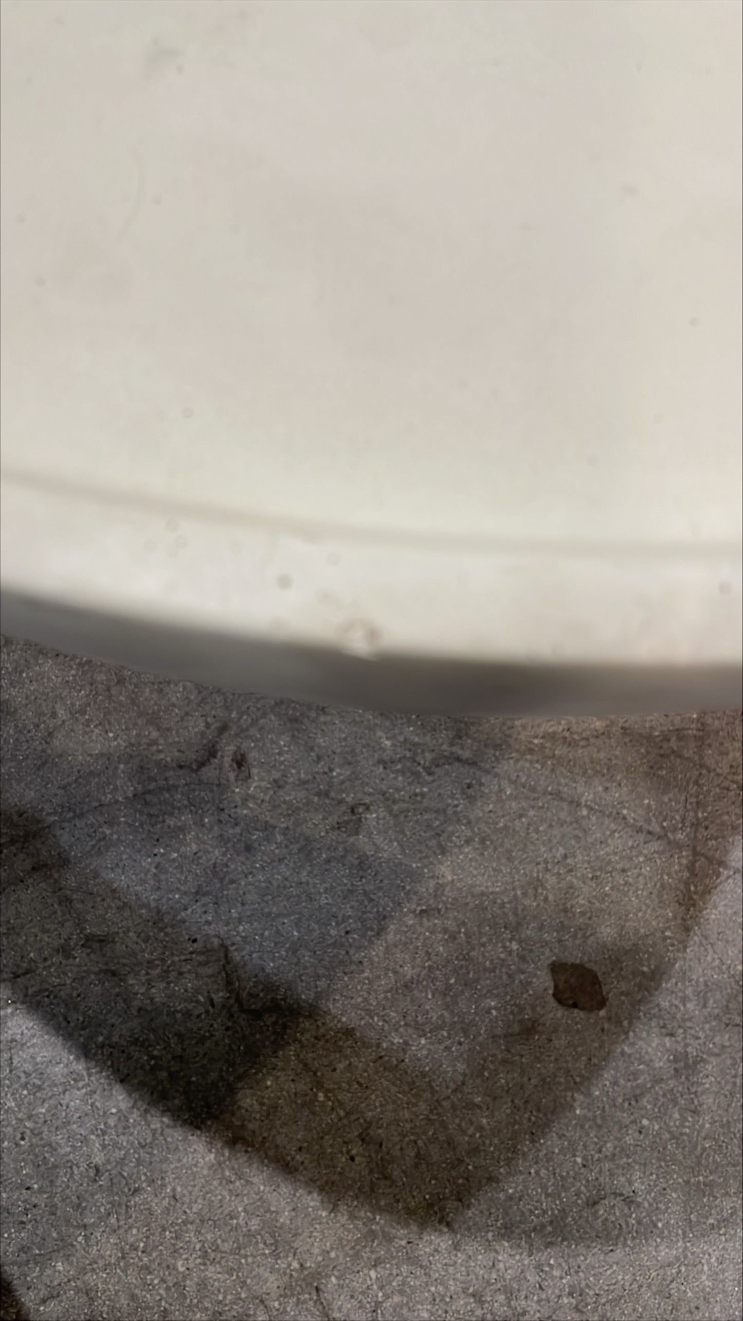 ROVE CONCEPTS Maria Alabaster Concrete Coffee Table- 48"x32"x14.1" LOCAL PICKUP