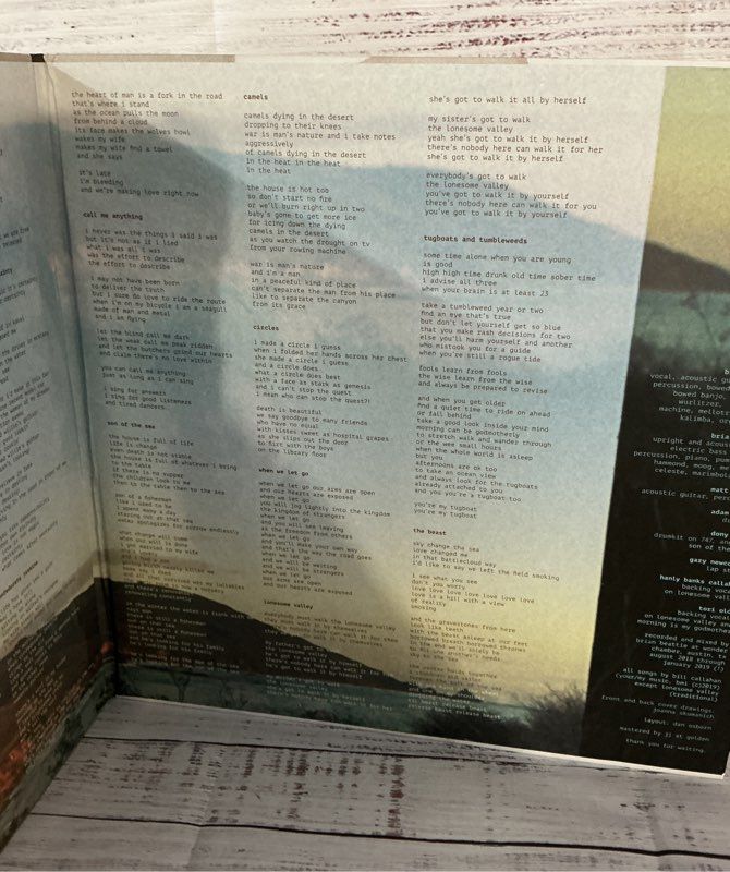 Bill Callahan Shepherd in a Sheepskin Vest Album 2019