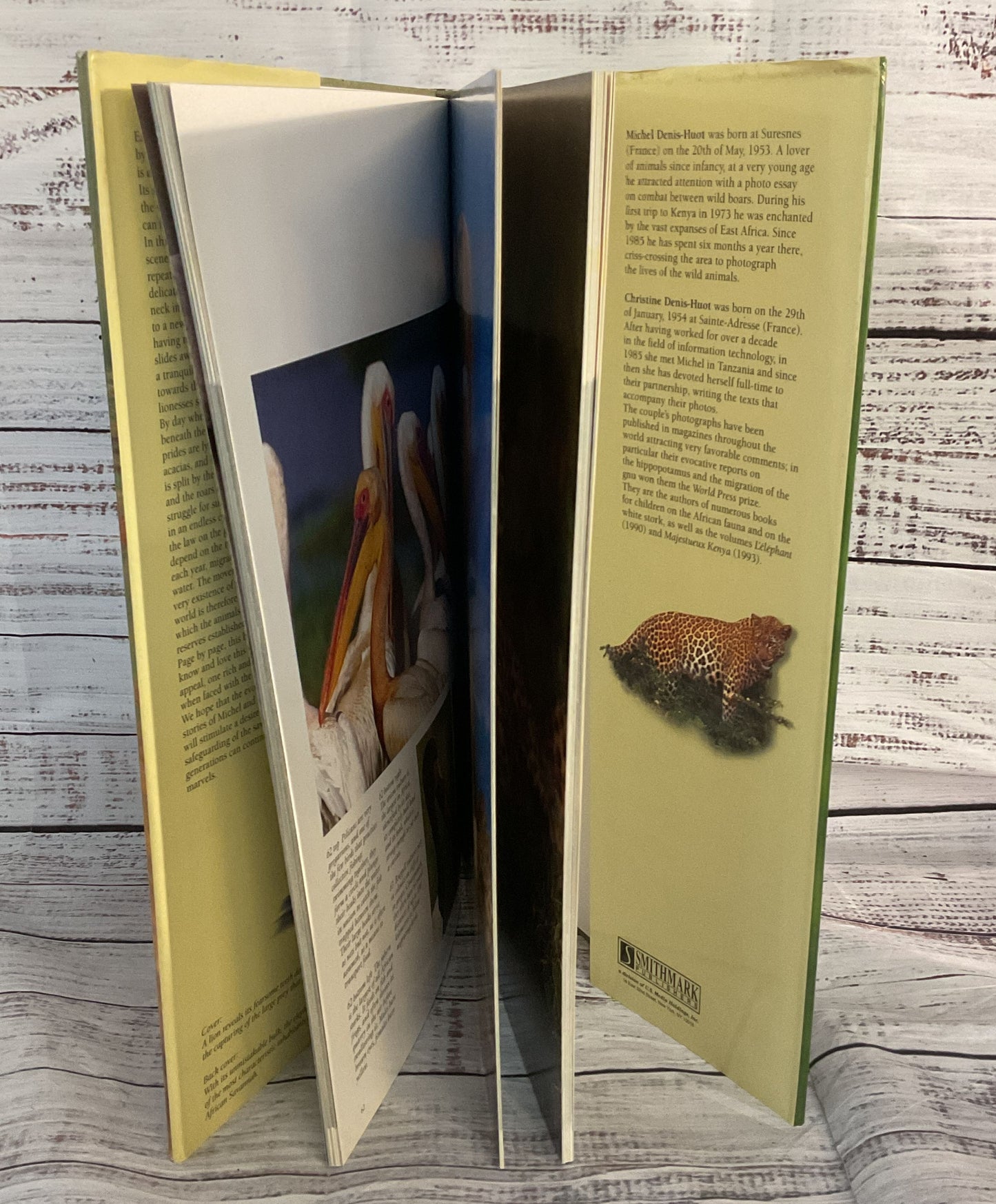 The Realm Of The Wild Savannah Photography Book Michel & Christine Denis-Huot