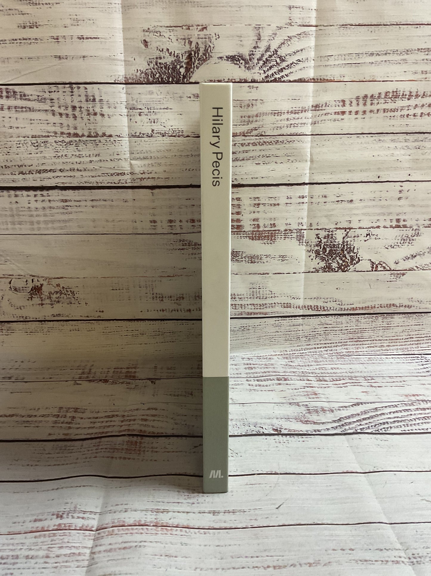 Hilary Pecis Hardcover Artbook