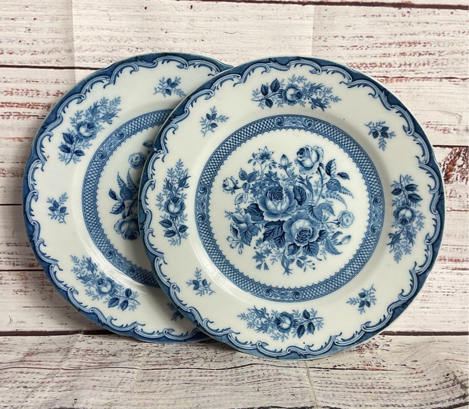 Lipper & Mann Blue Rose 8.5" Set of 2 Salad Plates Multicolor