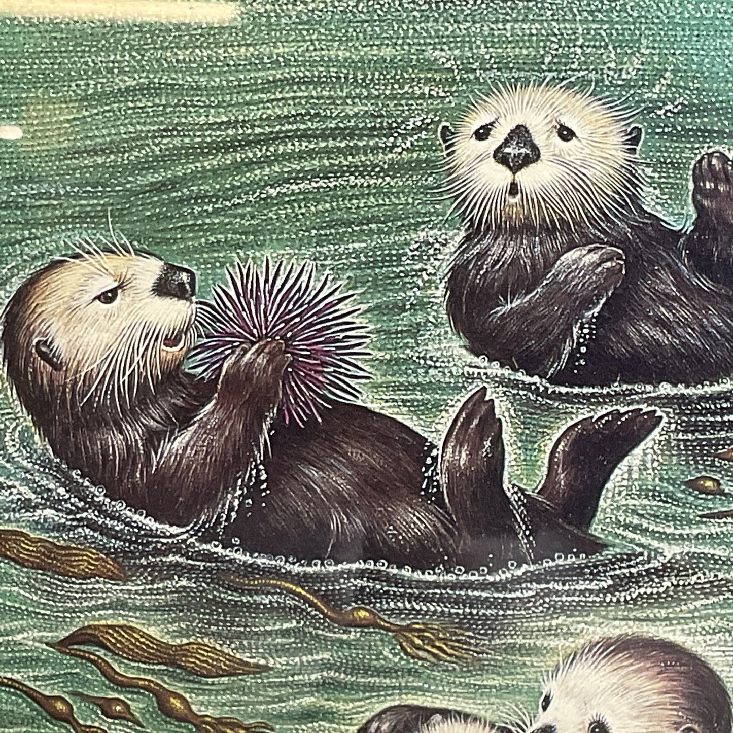 Set of 2 Signed K CHIN "The Friendly Otters" "The Friendly Otter Family" Prints