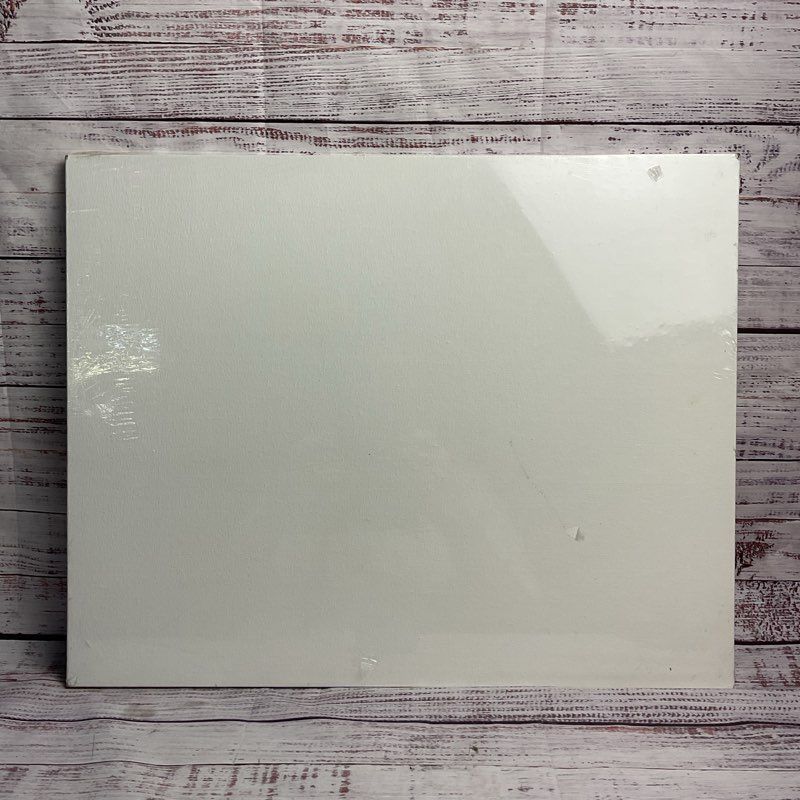 Aaron Brothers Artist's Canvas 16 In. X 20 In. Gesso Primed Duck Cotton Panels